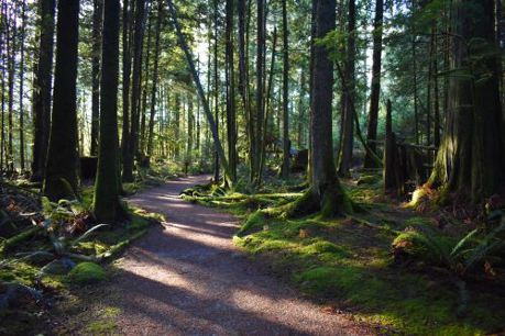 trail